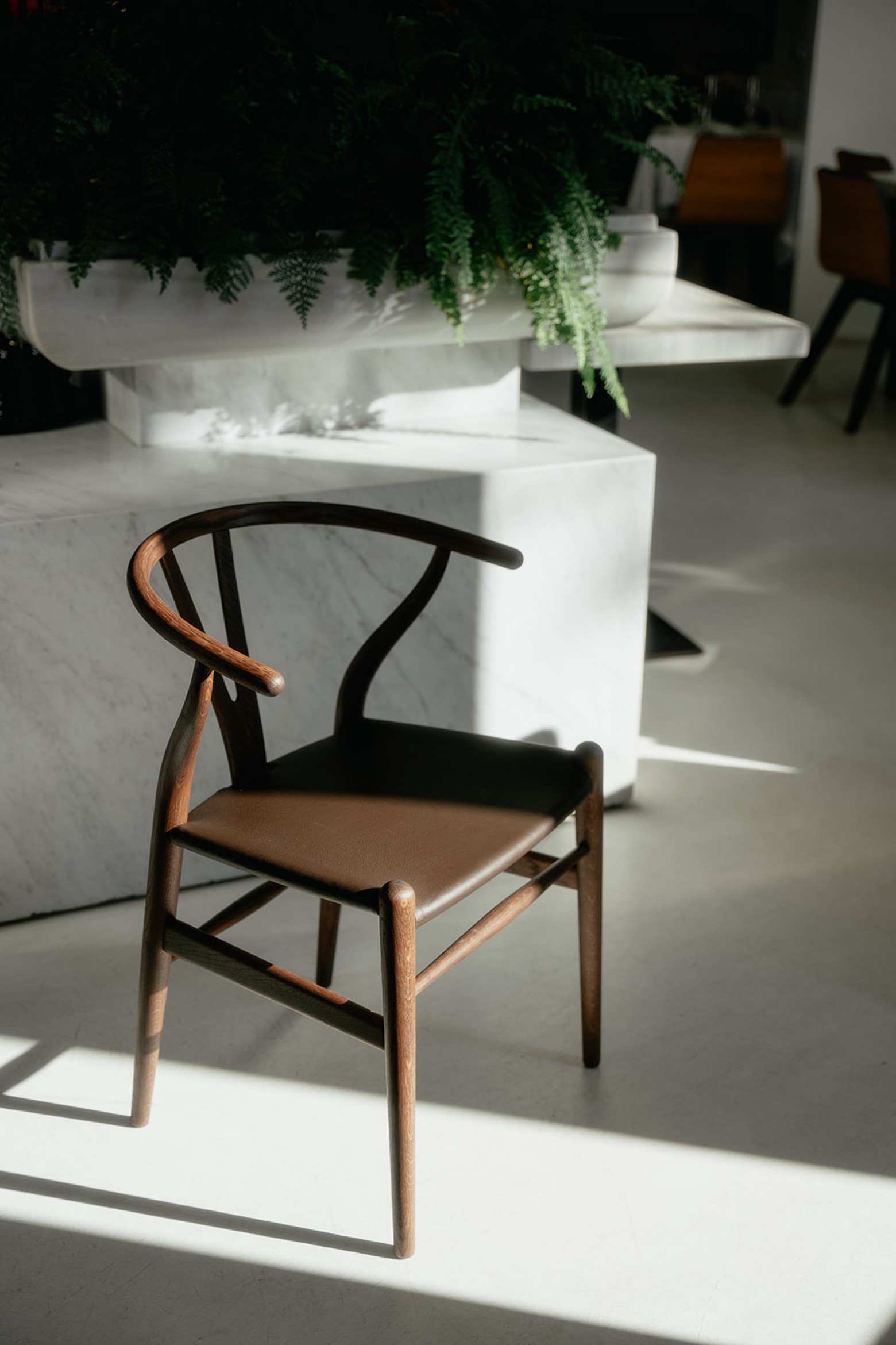 Bruin is de kleur: CH24 Limited beNeLux Edition  Victors Design Agency