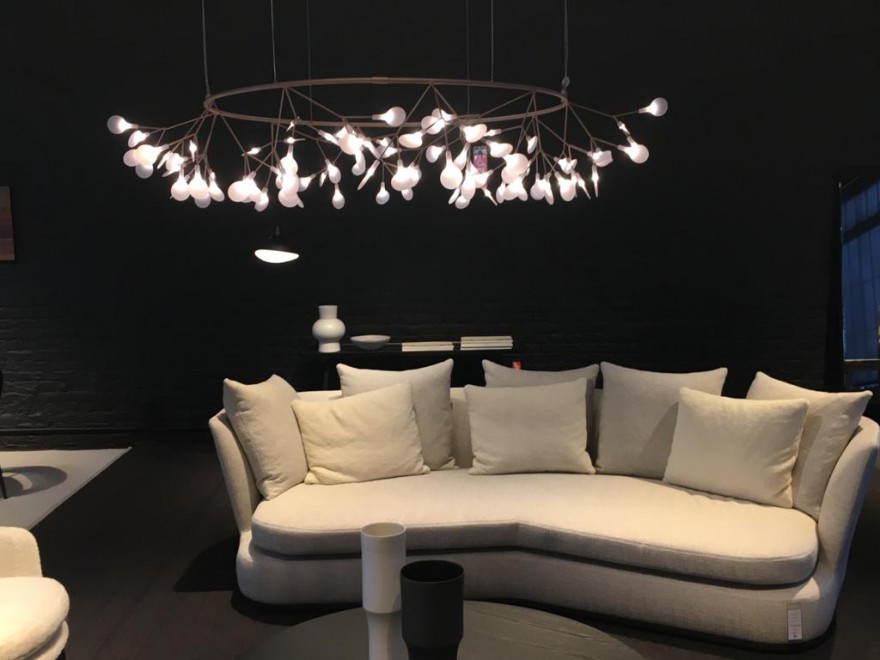 Heracleum Big O bij Instore in Ixelles