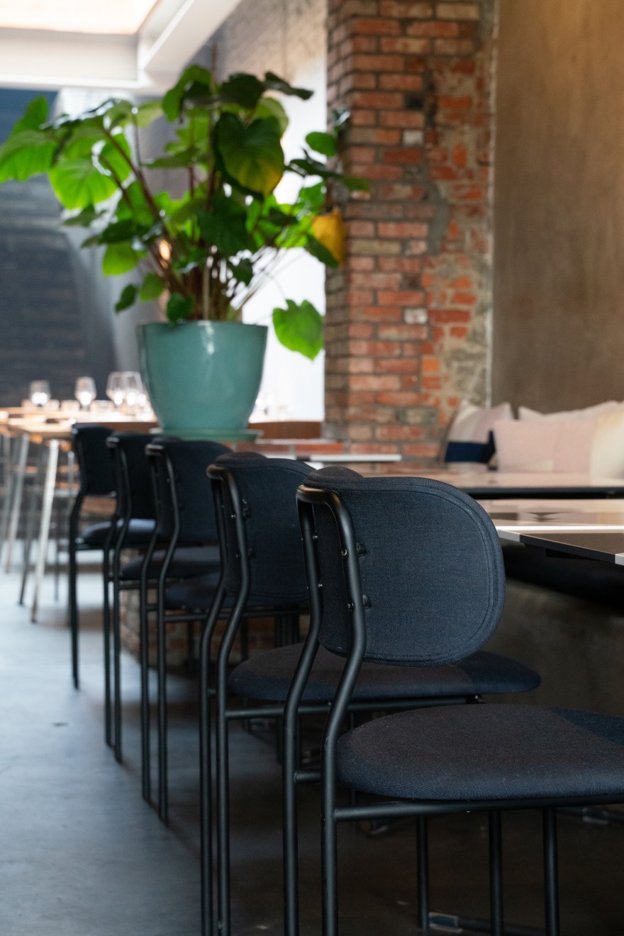 Coco stoelen in tijdloos blauw en zwart