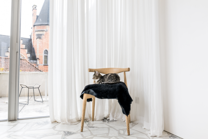 Elbow Chair CH20 Hans J Wegner, Carl Hansen & Son